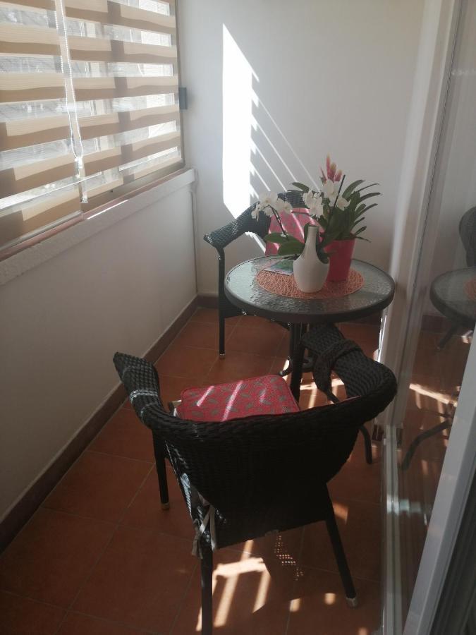 Apartments Mary & Free Parking Rovinj Buitenkant foto